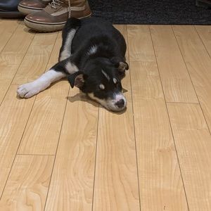 Meet your Posher, Cindy